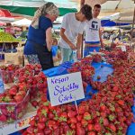 IMG_20230708_132321