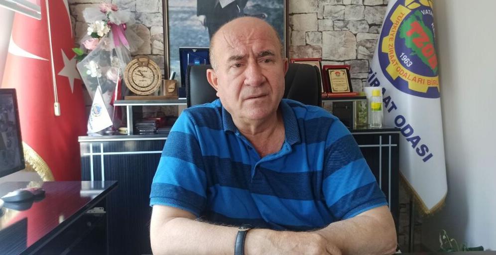 Otomatik taslak