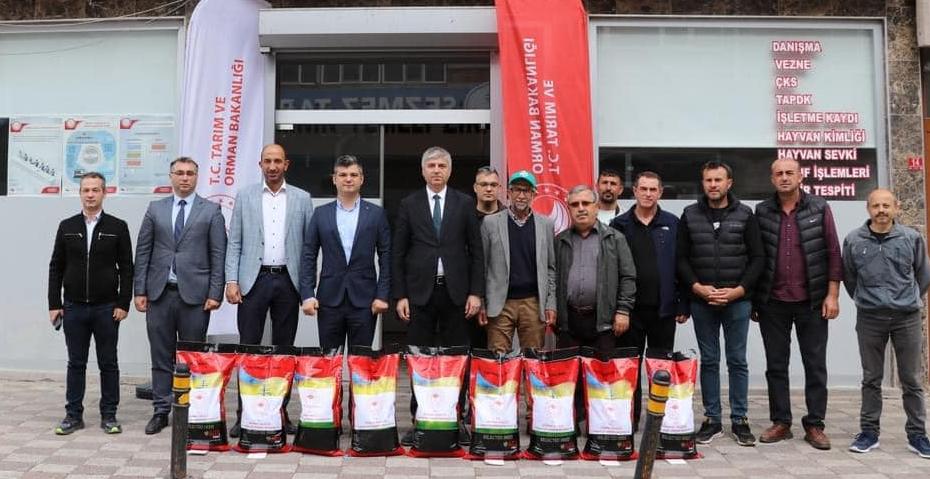 Otomatik taslak