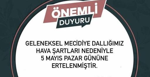 Mecidiye’nin geleneksel dallığı 5 Mayıs’a ertelendi