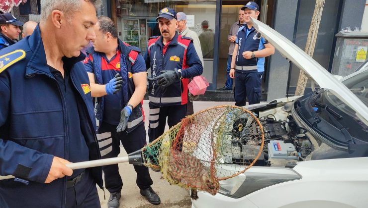 Araç sahiplerine “Kaputa vurun” uyarısı…