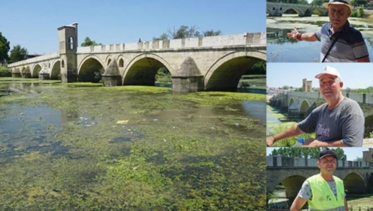 Tunca nehri bataklığa döndü
