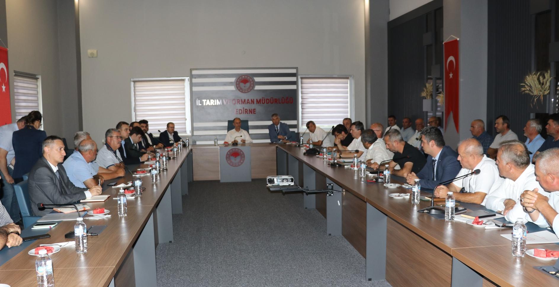 Otomatik taslak