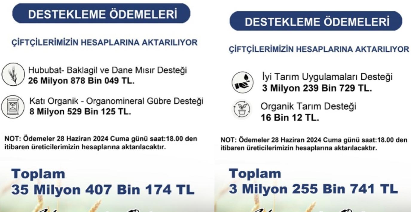 Otomatik taslak
