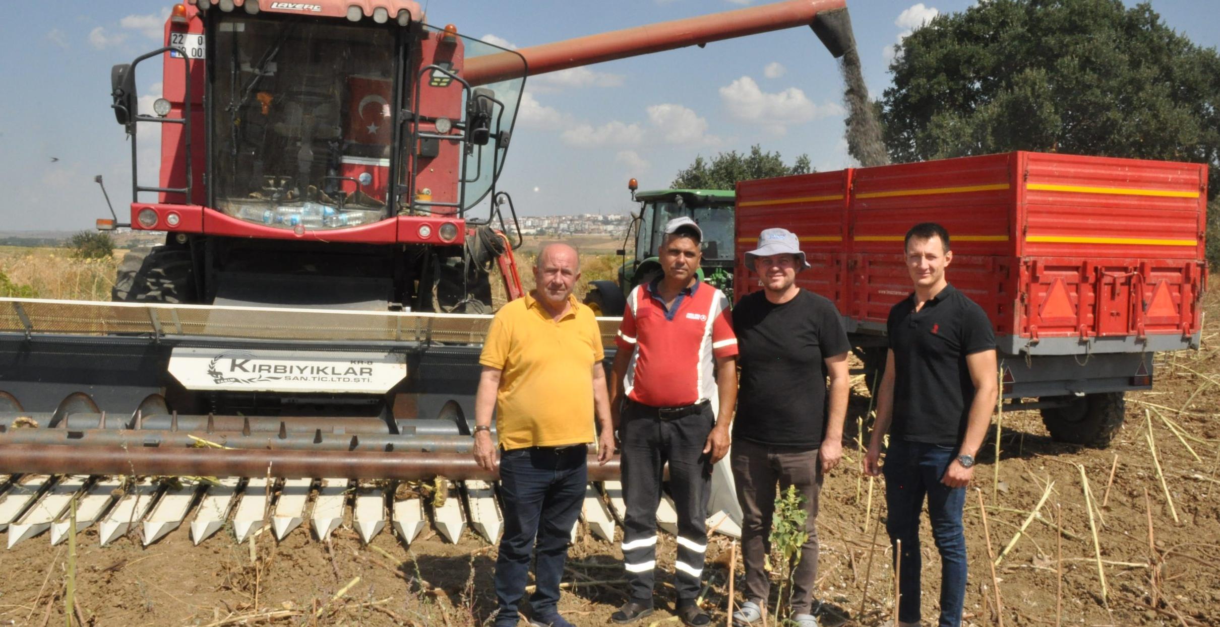 Hasadı başlayan ayçiçeğinde bazı arazilerde verim 60 kilograma kadar düştü