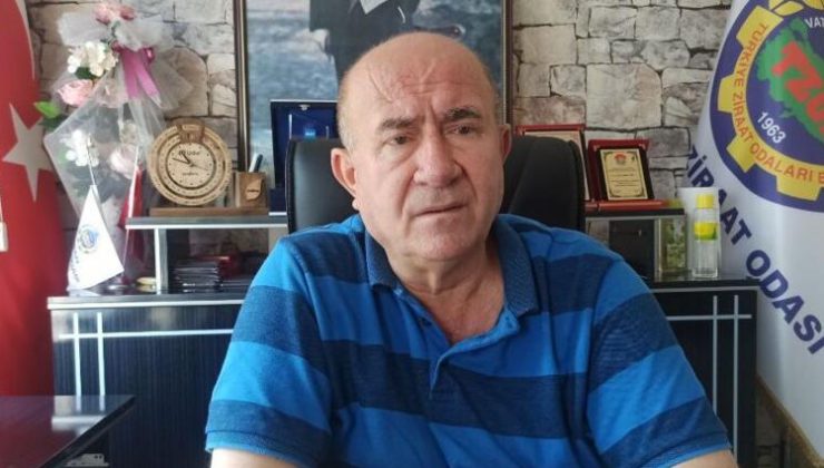 Ziraat Odası Başkanı Hasan Şen, “19. madde” talebini yineledi: “Verim yerine dekar üzerinden değerlendirilmesi çiftçiye daha fazla katkı sağlayacaktır”