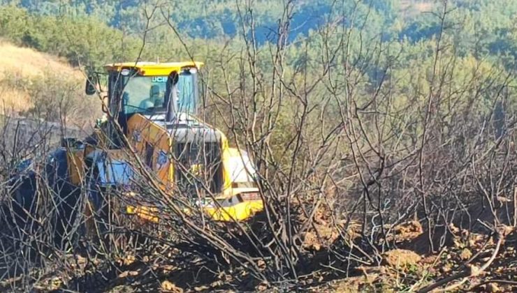 İbriktepe’de çıkan yangında 200 dekar alan zarar gördü