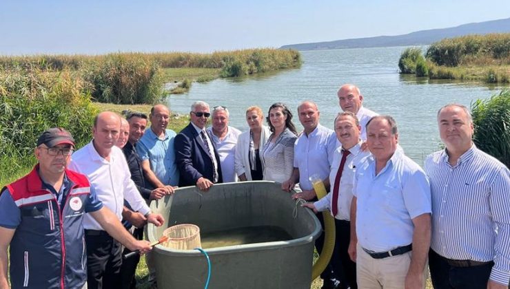 Gala Gölü’ne sazan balığı yavrusu bırakıldı