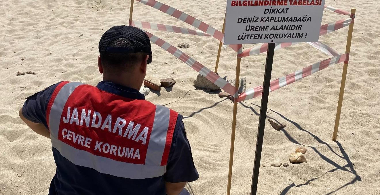 Otomatik taslak