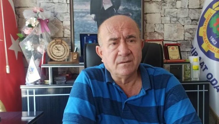Şen, yeni yönetmelik hakkında değerlendirmede bulundu