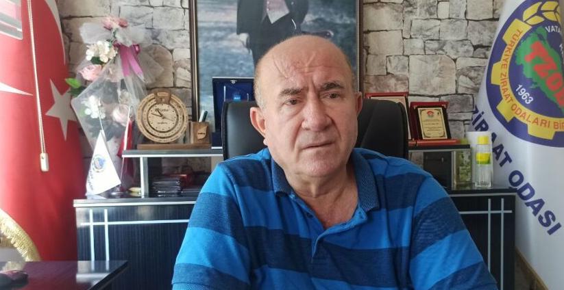 Otomatik taslak