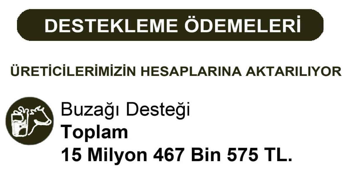 Otomatik taslak
