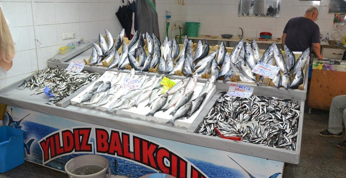 Otomatik taslak