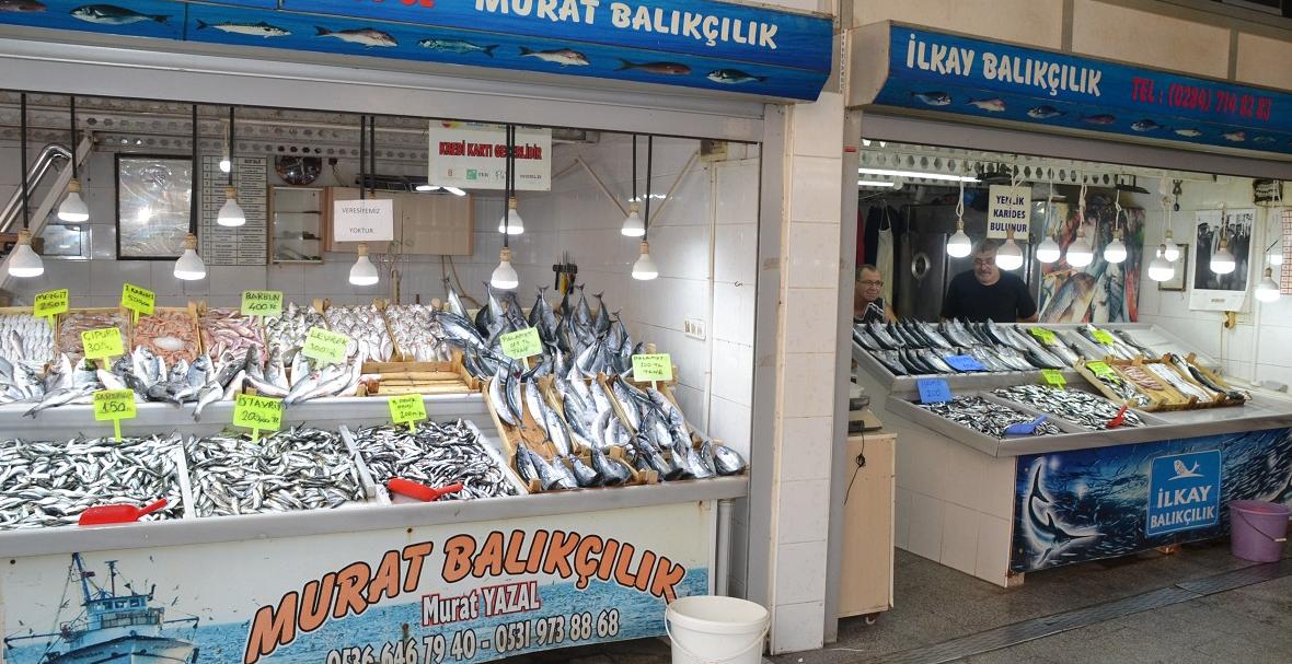 Otomatik taslak