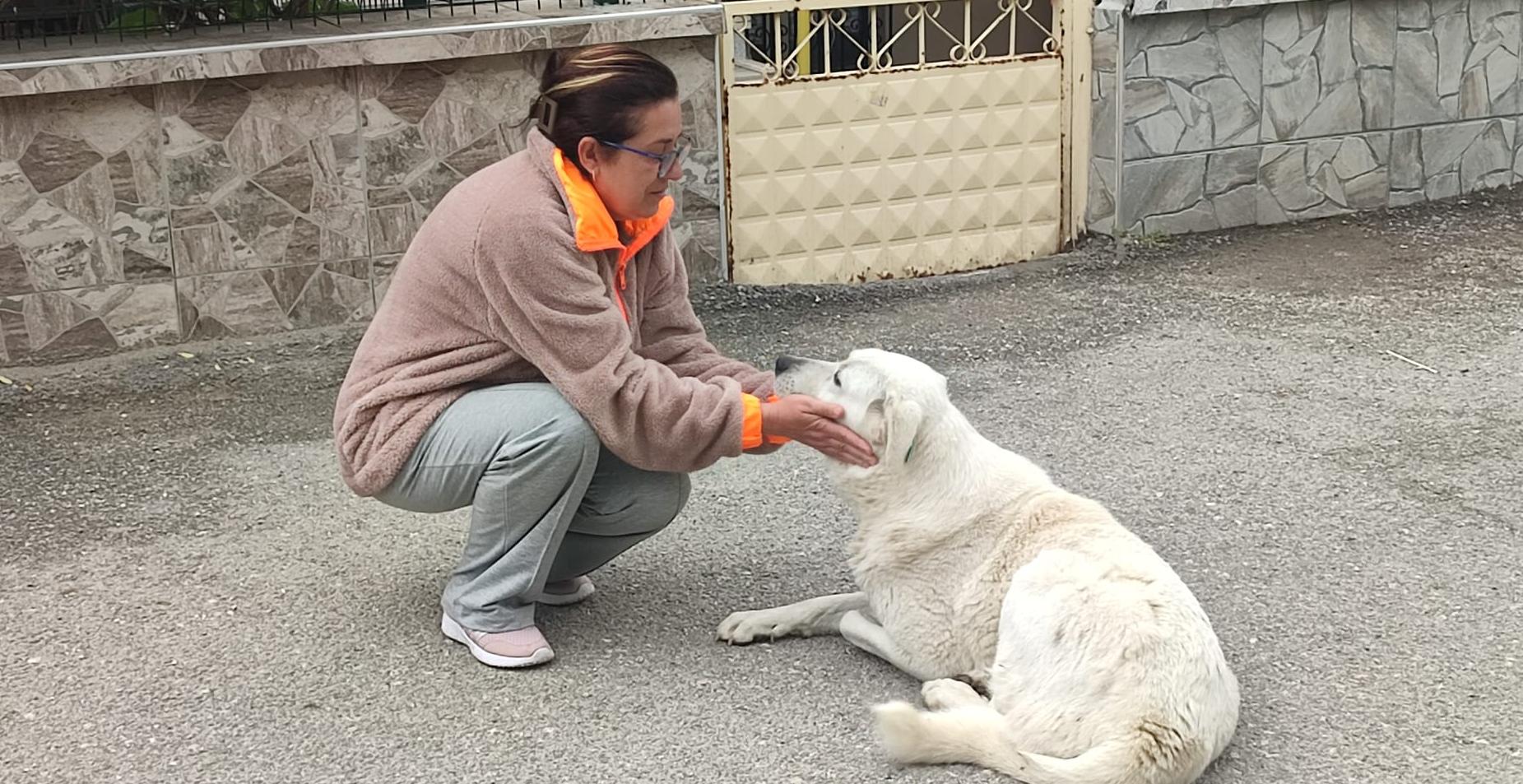 Cebeci sahiplenme çağrısında bulunarak yaklaşan kış öncesinde duyarlılığa dikkat çekti