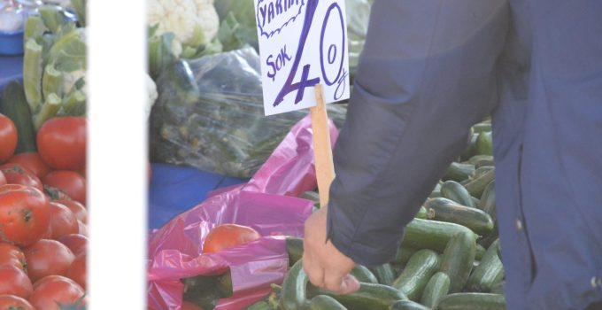 Salatalık fiyatıyla şaşırttı