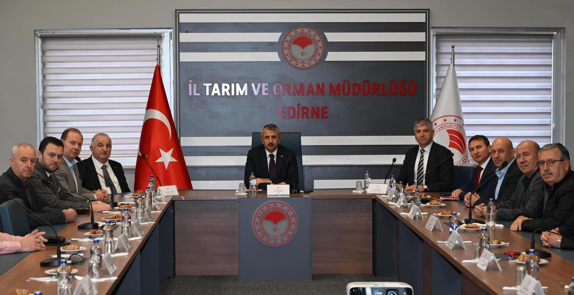 Otomatik taslak
