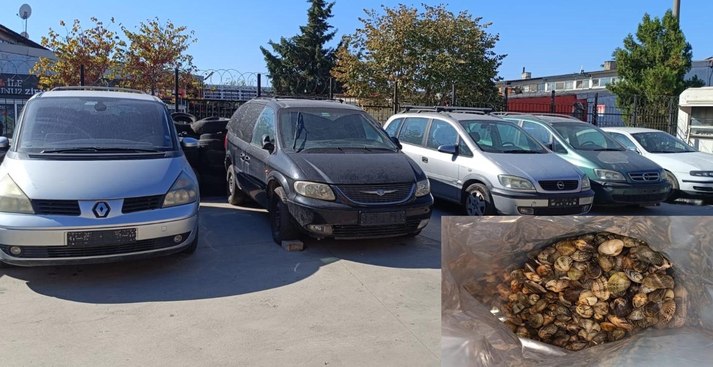 Otomatik taslak