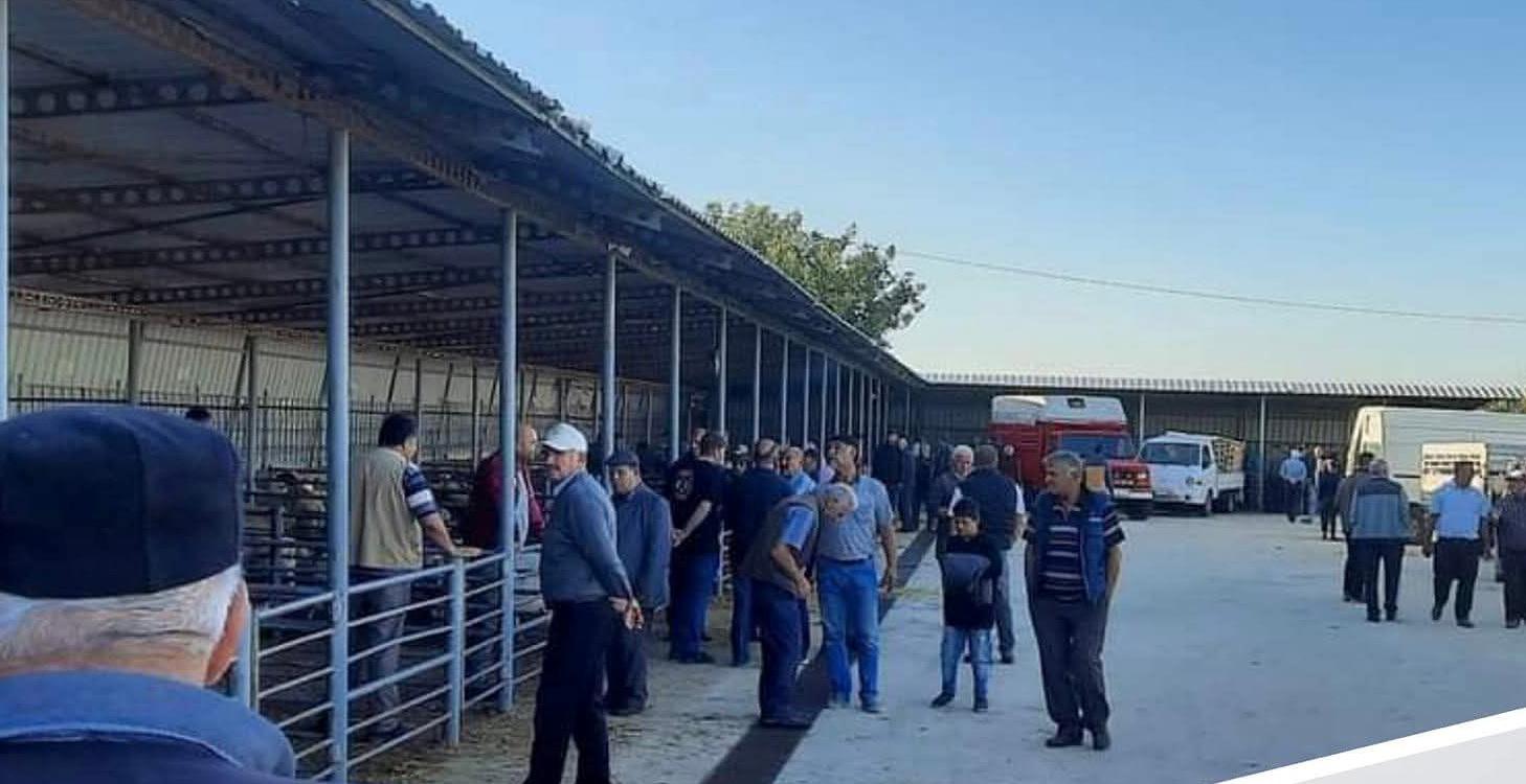 Otomatik taslak