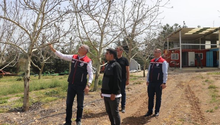 Bayazıt, zirai dondan etkilenen tarım alanlarını inceledi