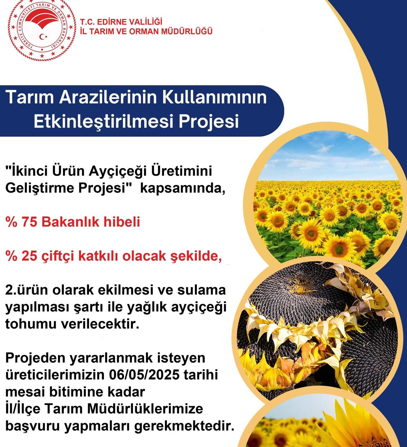 Otomatik taslak