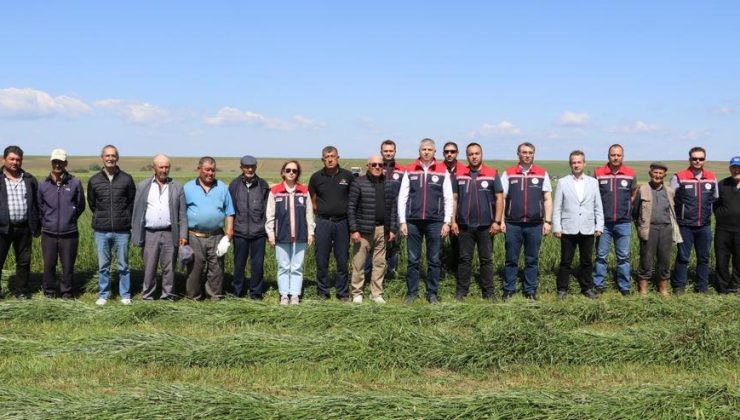 Suni merada ilk biçim yapıldı