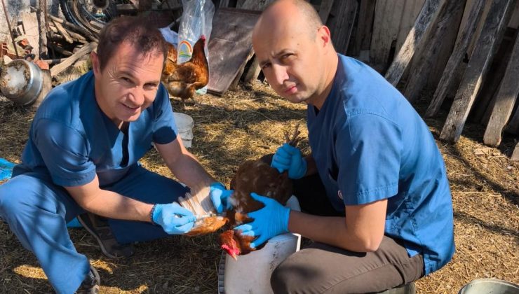 Edirne İl Tarım Müdürlüğü’nden kanatlı hayvanlara yakın takip