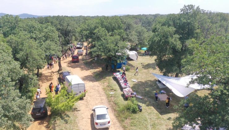 Dallık Şenlikleri, yarın Kılıçköy Korusu’nda yapılacak
