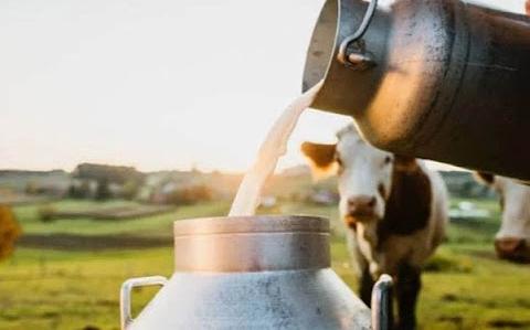 Sütte yeni fiyat: Litresi 18.35 TL