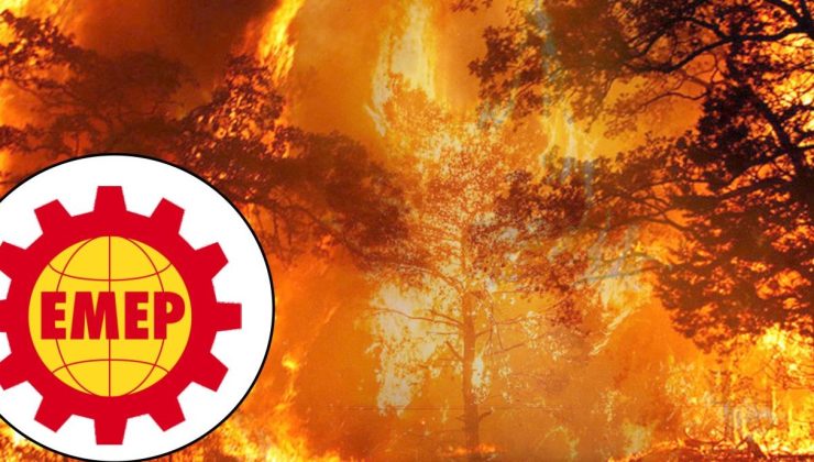 EMEP: “Ormanlar yanıyor, zeytinlikler hedefte!”