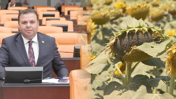 Ün: “Bu karar, çiftçiyi değil yandaşı koruma projesidir”