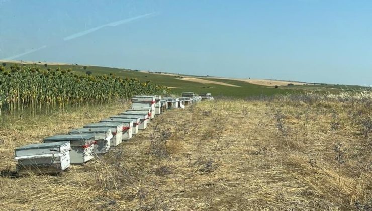 İpsala Tarım İlçe’den kovan sayımı…