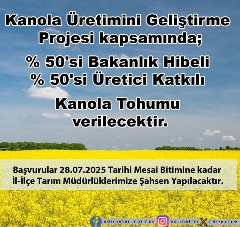 Otomatik taslak