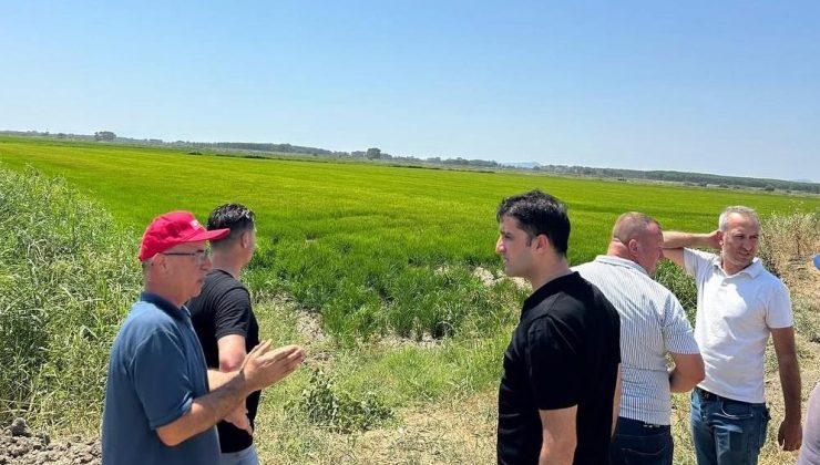 İpsala Kaymakamı Sevgili’den Meriç Nehri ve çeltik tarlalarında su yönetimi incelemesi…
