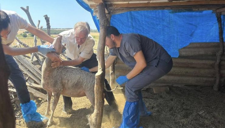 Aşılama devam ediyor