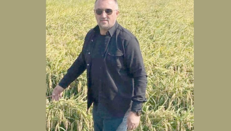 İpsala’da damlama sulamayla çeltik ekimi…