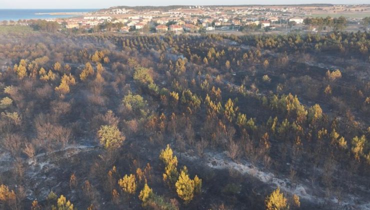 Bölgeyi seferber eden yangında soğutma çalışmaları yapılıyor