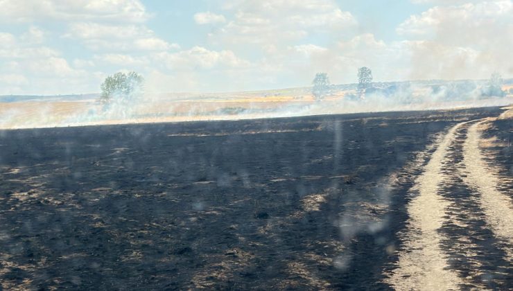 Altıntaş’ta anız yangını büyümeden söndürüldü