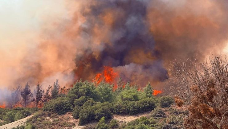 Gelibolu’daki yangın 3. gününde kontrol altına alındı