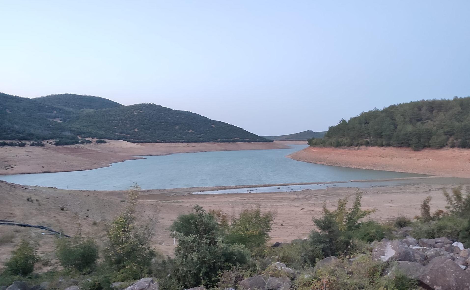 Otomatik taslak