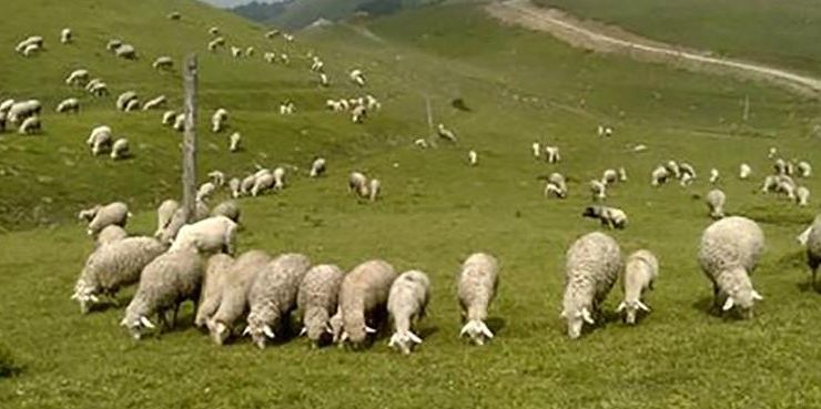 Yüzde 100 artırıldı