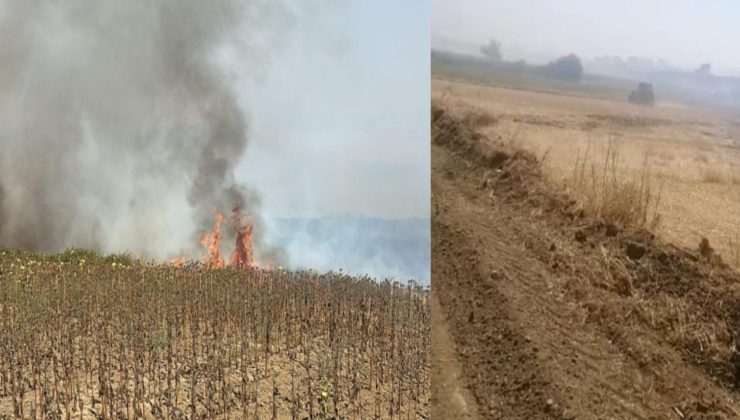 Anız yangını büyümeden söndürüldü