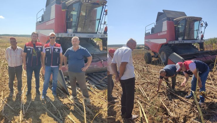 Biçerdöverlerde kontroller devam ediyor