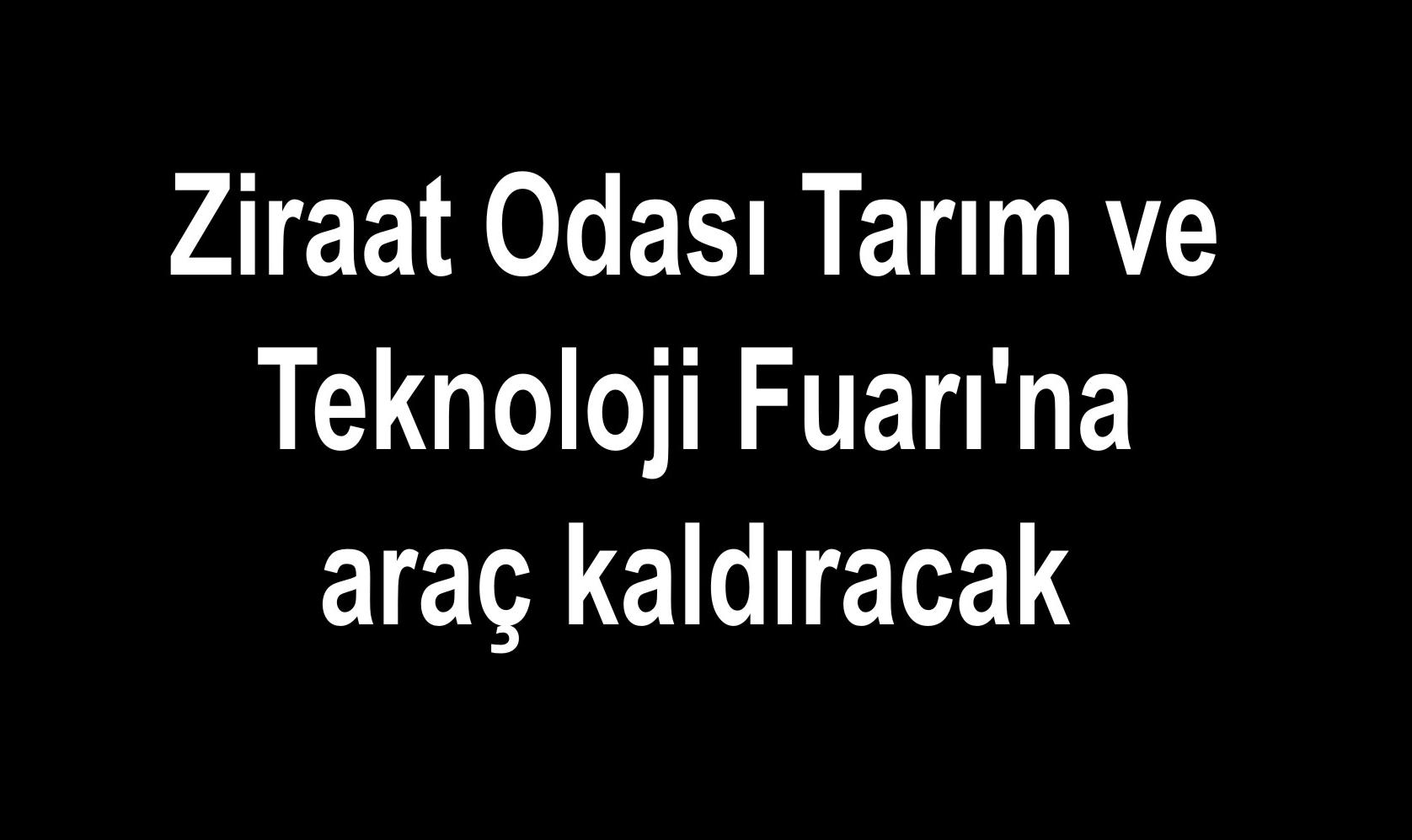 Otomatik taslak