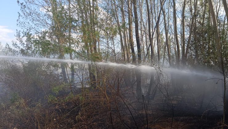 Yol kenarında çıkan yangın söndürüldü