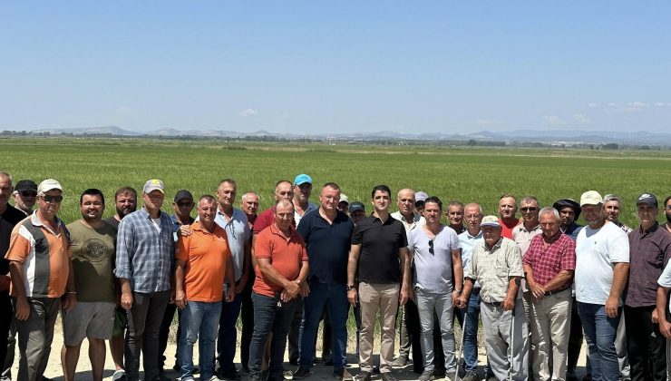 “Çeltik verimleri iyi durumda”