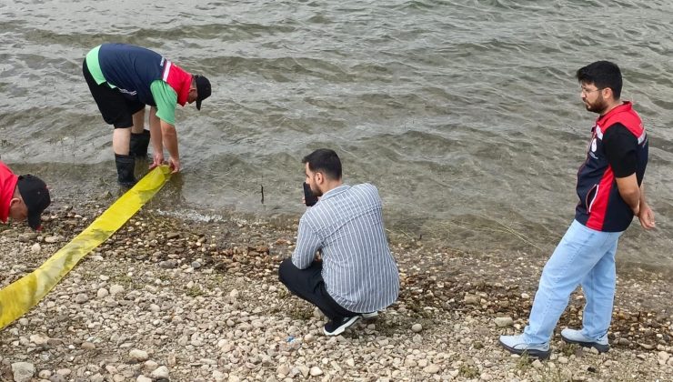 3 milyon pullu sazan yavrusu, göl ve göletlere bırakıldı