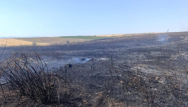 İpsala’da çıkan yangın korkuttu