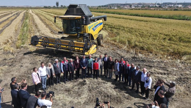 Bakan Yumaklı, fuar için geldiği İpsala’da çeltik hasadına katıldı