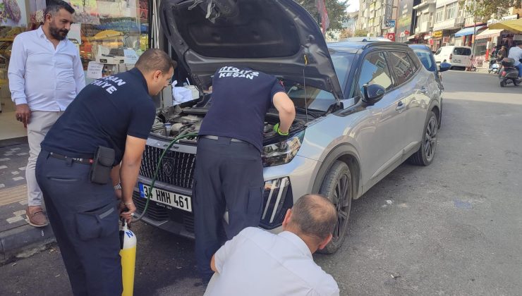 Yavru kediyi kurtarma operasyonu…